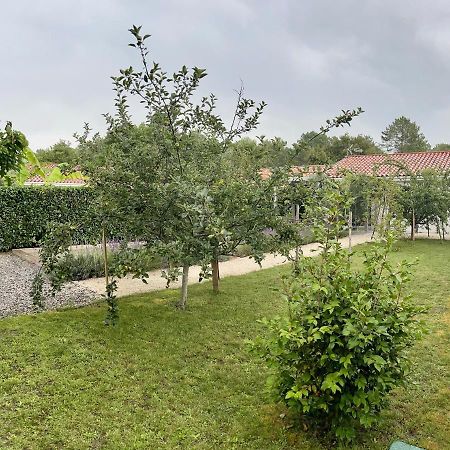 O'Pintxo Bed & Breakfast Onesse-et-Laharie Екстериор снимка
